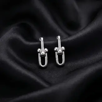 Tiffany HardWear, Large Link Earrings